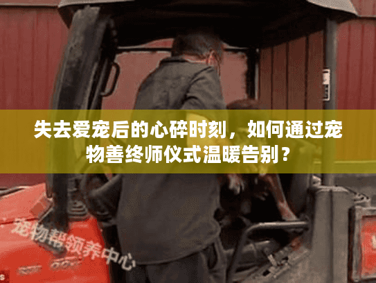 失去爱宠后的心碎时刻，如何通过宠物善终师仪式温暖告别？