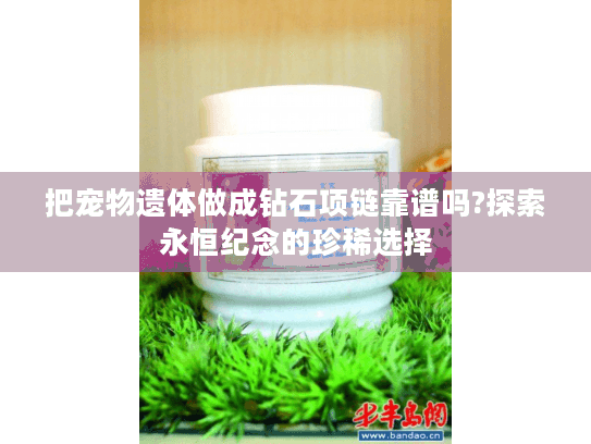 把宠物遗体做成钻石项链靠谱吗?探索永恒纪念的珍稀选择