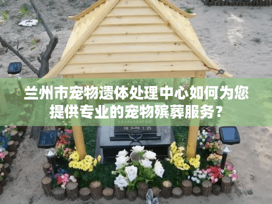 兰州市宠物遗体处理中心如何为您提供专业的宠物殡葬服务？