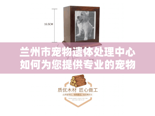 兰州市宠物遗体处理中心如何为您提供专业的宠物殡葬服务？