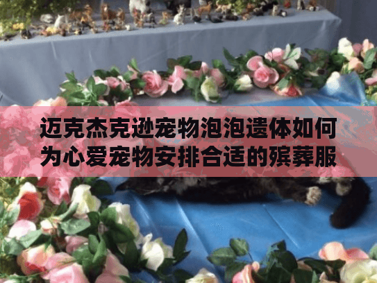 迈克杰克逊宠物泡泡遗体如何为心爱宠物安排合适的殡葬服务？