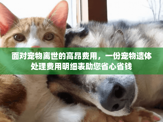 面对宠物离世的高昂费用，一份宠物遗体处理费用明细表助您省心省钱