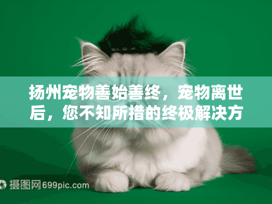 扬州宠物善始善终,宠物离世后,您不知所措的终极解决方案?