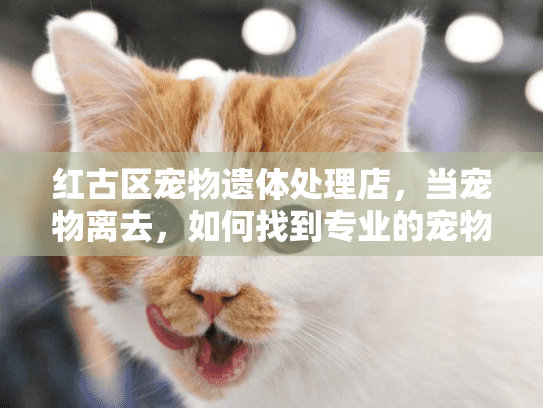 红古区宠物遗体处理店,当宠物离去,如何找到专业的宠物殡葬服务? 红古区宠物遗体处理店,当宠物离去,如何找到专业的宠物殡葬服务?