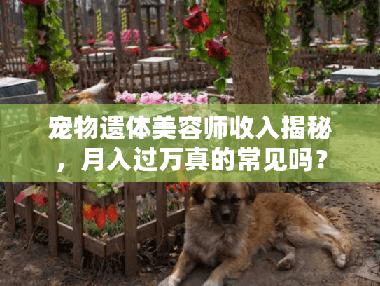 宠物遗体美容师收入揭秘，月入过万真的常见吗？
