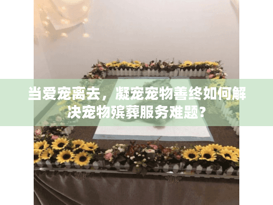 当爱宠离去，凝宠宠物善终如何解决宠物殡葬服务难题？