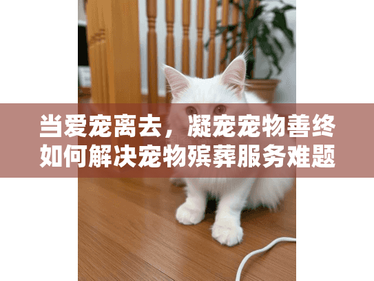 当爱宠离去，凝宠宠物善终如何解决宠物殡葬服务难题？