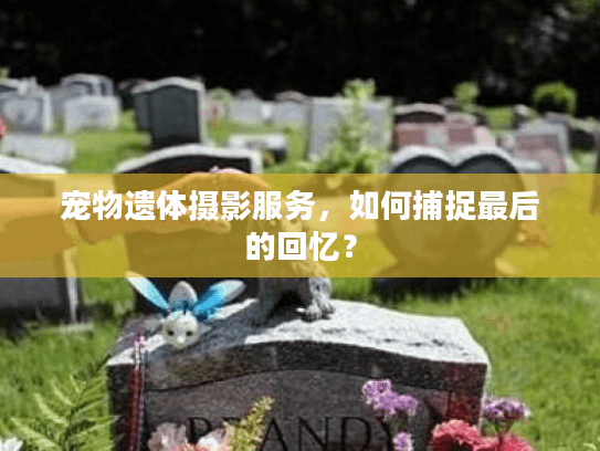 宠物遗体摄影服务，如何捕捉最后的回忆？