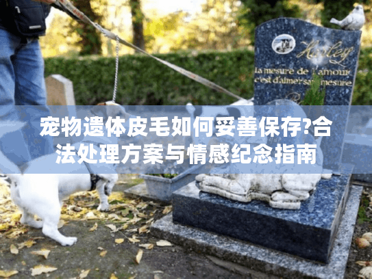 宠物遗体皮毛如何妥善保存?合法处理方案与情感纪念指南