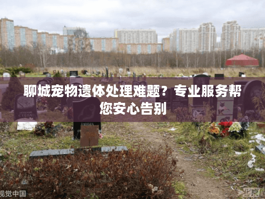 聊城宠物遗体处理难题？专业服务帮您安心告别