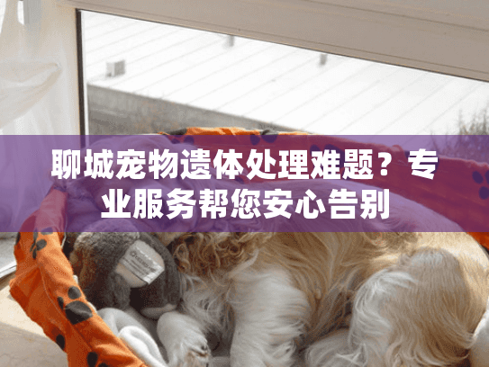聊城宠物遗体处理难题？专业服务帮您安心告别