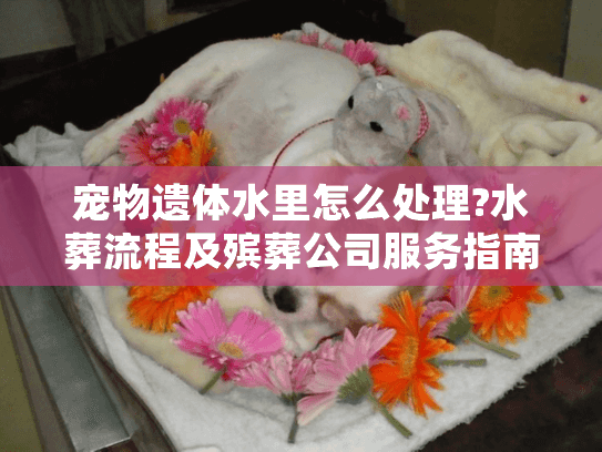 宠物遗体水里怎么处理?水葬流程及殡葬公司服务指南