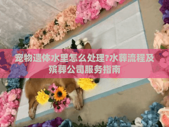 宠物遗体水里怎么处理?水葬流程及殡葬公司服务指南