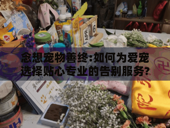 念想宠物善终:如何为爱宠选择贴心专业的告别服务?