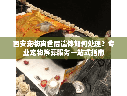 西安宠物离世后遗体如何处理？专业宠物殡葬服务一站式指南