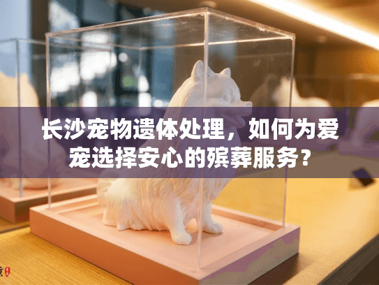 长沙宠物遗体处理，如何为爱宠选择安心的殡葬服务？