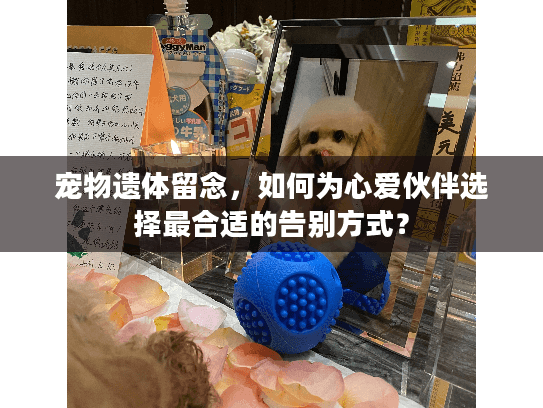 宠物遗体留念，如何为心爱伙伴选择最合适的告别方式？