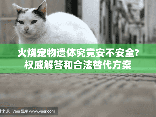火烧宠物遗体究竟安不安全?权威解答和合法替代方案