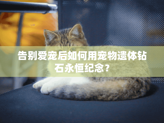 告别爱宠后如何用宠物遗体钻石永恒纪念？