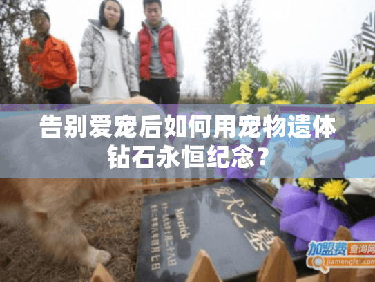 告别爱宠后如何用宠物遗体钻石永恒纪念？