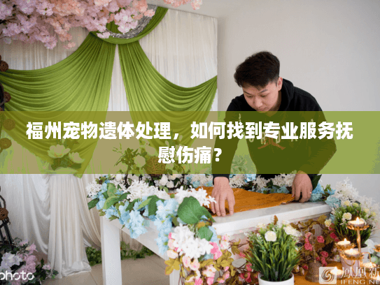 福州宠物遗体处理，如何找到专业服务抚慰伤痛？