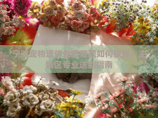 宁波宠物遗体处置难题如何破解？主城区专业送别指南