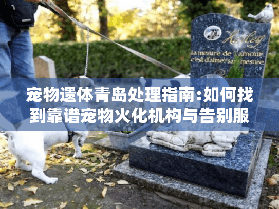 宠物遗体青岛处理指南:如何找到靠谱宠物火化机构与告别服务