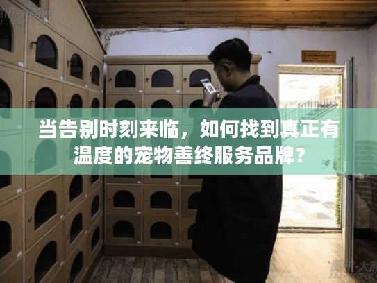当告别时刻来临，如何找到真正有温度的宠物善终服务品牌？