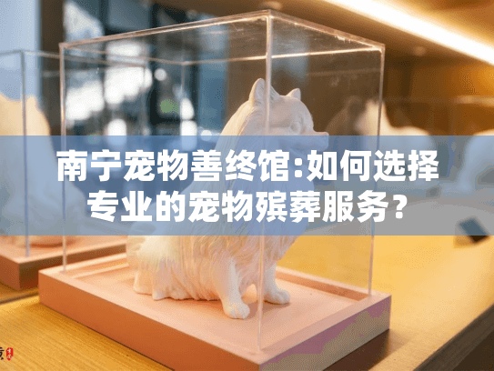 南宁宠物善终馆:如何选择专业的宠物殡葬服务？