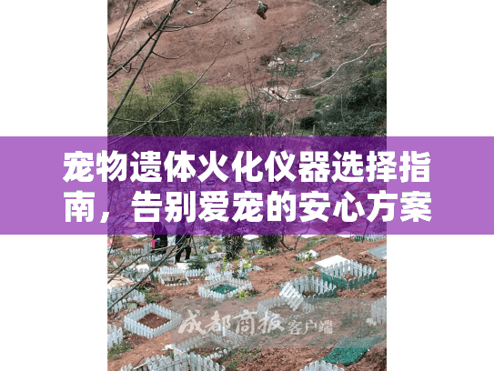 宠物遗体火化仪器选择指南，告别爱宠的安心方案