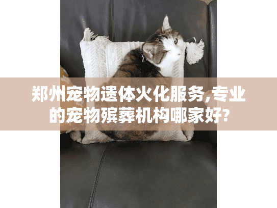 郑州宠物遗体火化服务,专业的宠物殡葬机构哪家好?