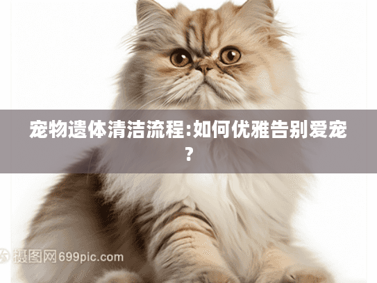 宠物遗体清洁流程:如何优雅告别爱宠?