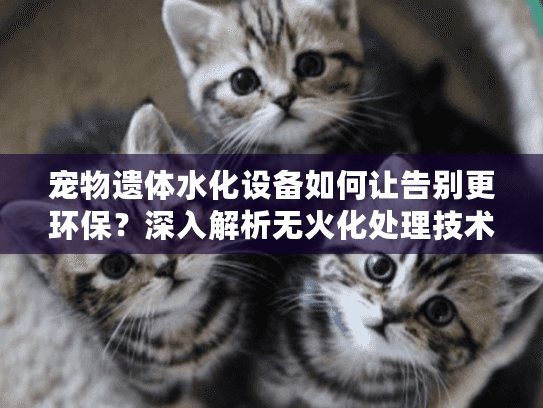 宠物遗体水化设备如何让告别更环保？深入解析无火化处理技术