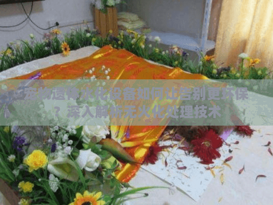 宠物遗体水化设备如何让告别更环保？深入解析无火化处理技术