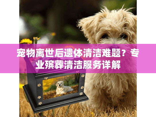 宠物离世后遗体清洁难题？专业殡葬清洁服务详解