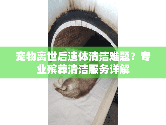 宠物离世后遗体清洁难题？专业殡葬清洁服务详解