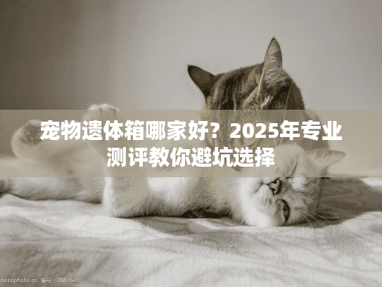 宠物遗体箱哪家好？2025年专业测评教你避坑选择