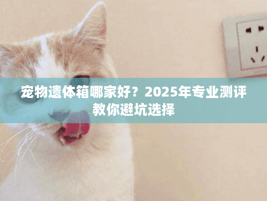 宠物遗体箱哪家好？2025年专业测评教你避坑选择