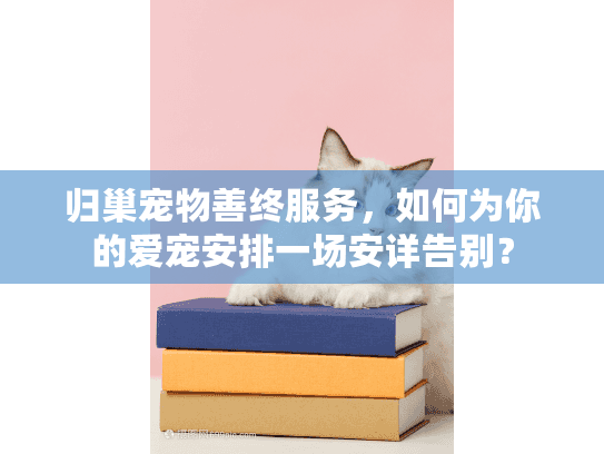 归巢宠物善终服务，如何为你的爱宠安排一场安详告别？