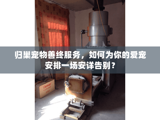 归巢宠物善终服务，如何为你的爱宠安排一场安详告别？