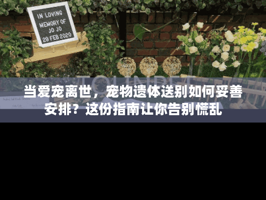 当爱宠离世，宠物遗体送别如何妥善安排？这份指南让你告别慌乱