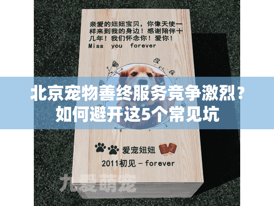 北京宠物善终服务竞争激烈？如何避开这5个常见坑