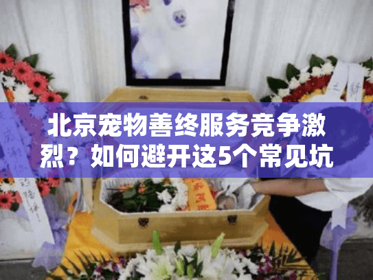 北京宠物善终服务竞争激烈？如何避开这5个常见坑