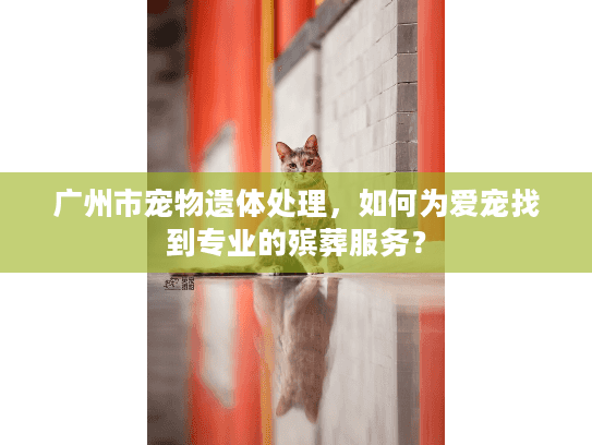 广州市宠物遗体处理，如何为爱宠找到专业的殡葬服务？
