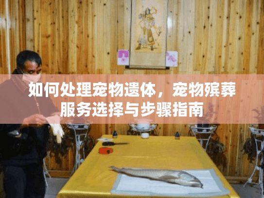 如何处理宠物遗体，宠物殡葬服务选择与步骤指南