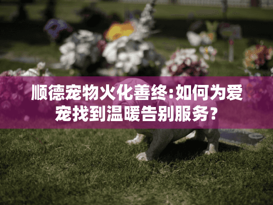 顺德宠物火化善终:如何为爱宠找到温暖告别服务？