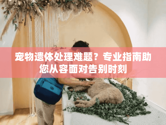 宠物遗体处理难题？专业指南助您从容面对告别时刻