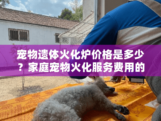 宠物遗体火化炉价格是多少？家庭宠物火化服务费用的完全指南