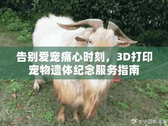 告别爱宠痛心时刻，3D打印宠物遗体纪念服务指南