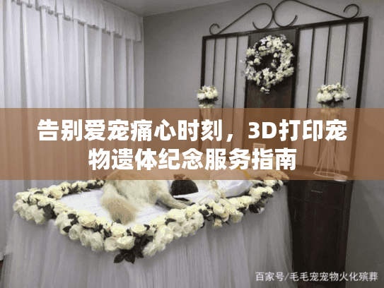 告别爱宠痛心时刻，3D打印宠物遗体纪念服务指南
